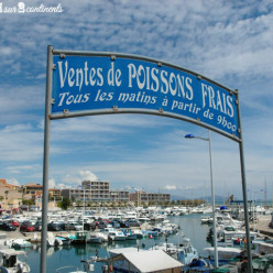 LA COTE BLEUE